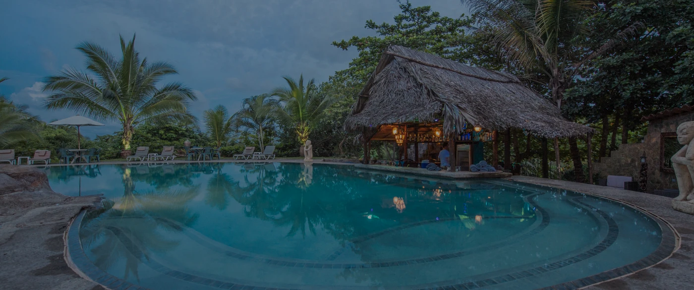 Infinity Pool and Swim up Bar